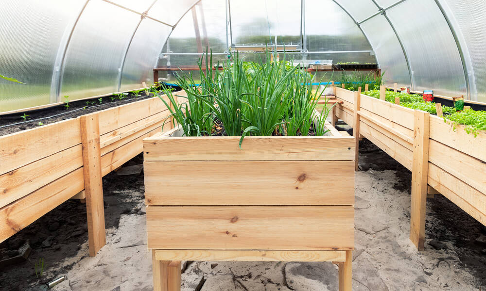 Surélever les plantes sensibles au froid est un bon moyen de les protéger du froid