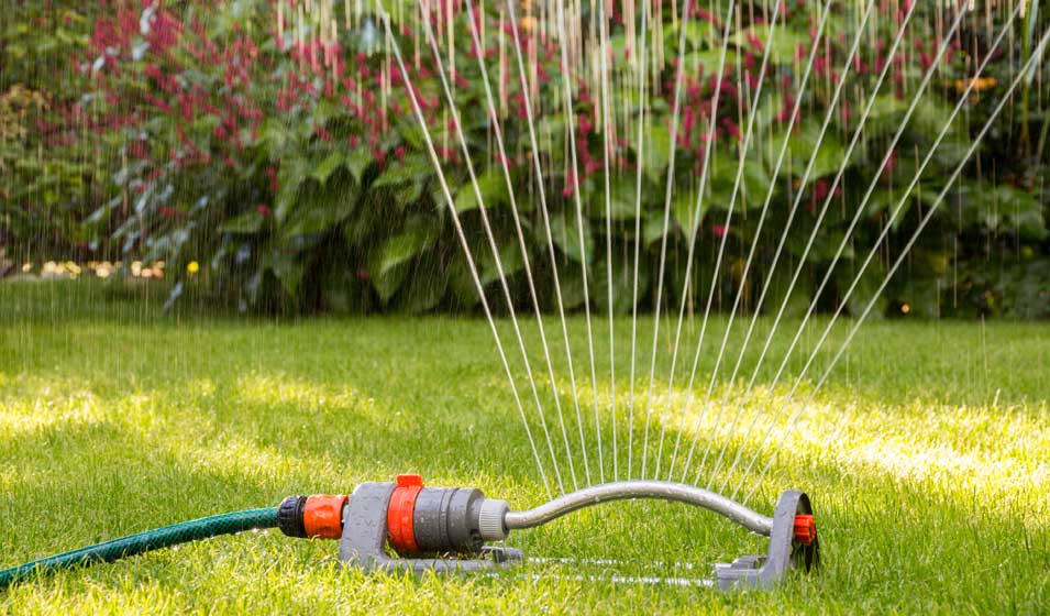 Le gazon ne se douche pas tous les jours