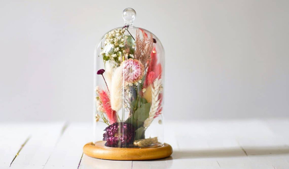 Ne la prenez pas pour une cloche