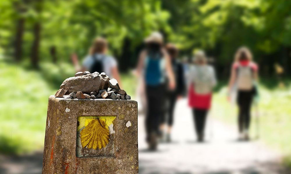 Le chemin de Compostelle