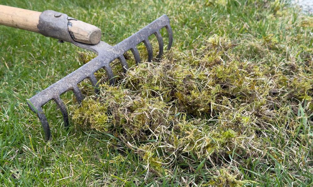 Les outils en contact avec la terre ou la végétation sont désinfectés après utilisation