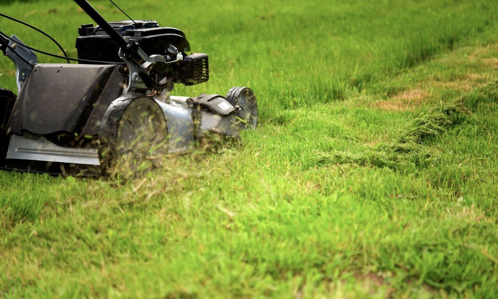 La tondeuse mulching rejette l’herbe au sol hachée en tout petits brins