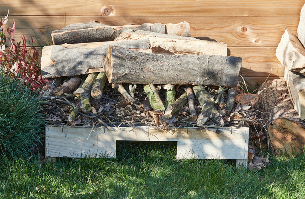 Créer un abri pour accueillir les hérissons dans son jardin