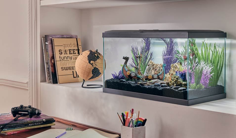 Sitemapcdatahttpsshopinf Inetcomoriginal Idee Deco Aquarium
