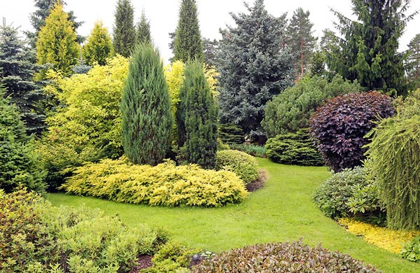 2 Boules de Buis Artificielles 50 cm Résistantes aux UV Plantes en Boules de Faux Sphères Végétales Décoratives 2 Boules de Buis Artificielles 50 cm Résistantes aux UV Plantes en Boules de Faux Sphères Végétales Décoratives
