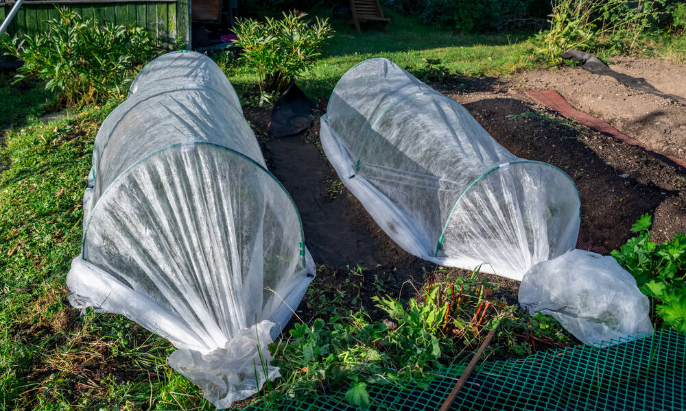 Des tunnels en voile d’hivernage 