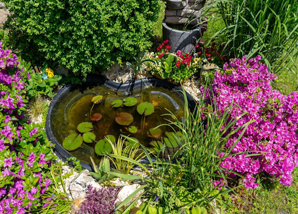 Votre père en rêve ? Offrez-lui un bassin pour son jardin ! 