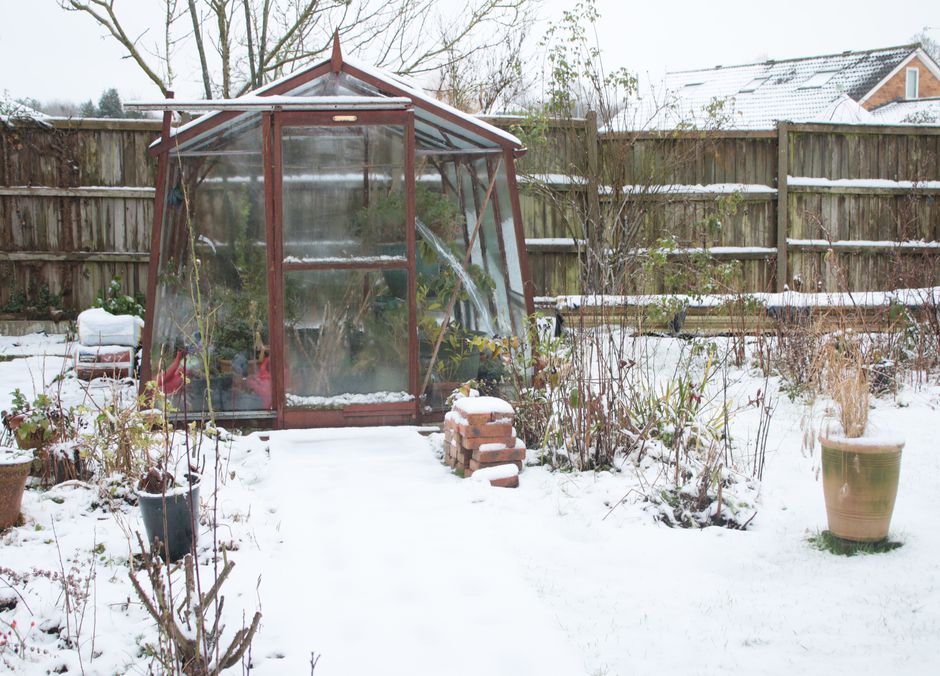 La structure en bois participe à une bonne isolation de la serre 