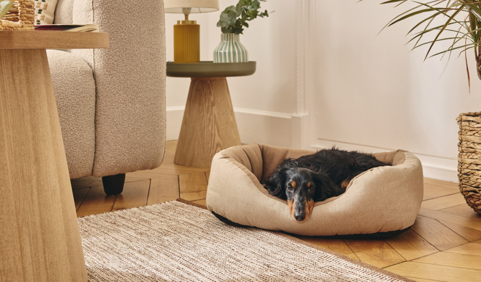 Panier pour chien Pure Family