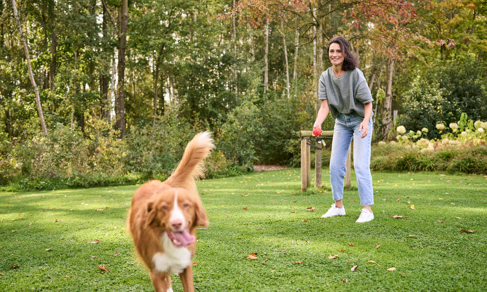 Un chien adulte très actif a des besoins énergétiques élevés