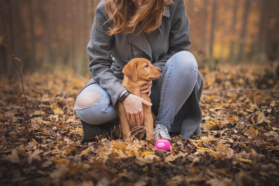 Jouer : une dépense physique et mentale pour le chien