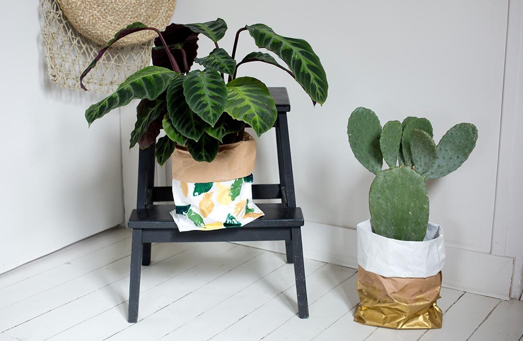 Mon cache-pot en papier kraft