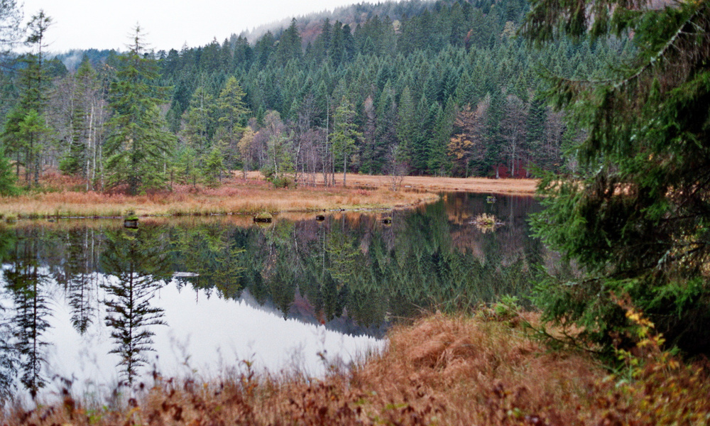 Le lac du Lispach