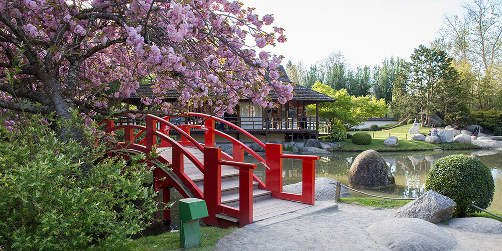 Printemps au Jardin Japonais de Toulouse