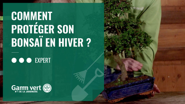 Hivernage : protéger vos plantes en hiver.. – Coopérative agricole de Nice