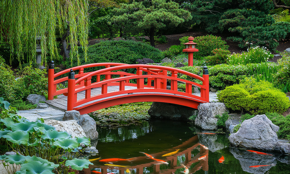 Le jardin japonais