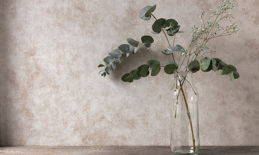 L'eucalyptus séché