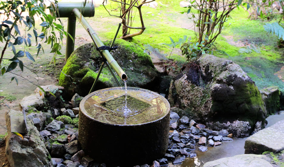 Comment aménager un jardin japonais ? - Jardiland