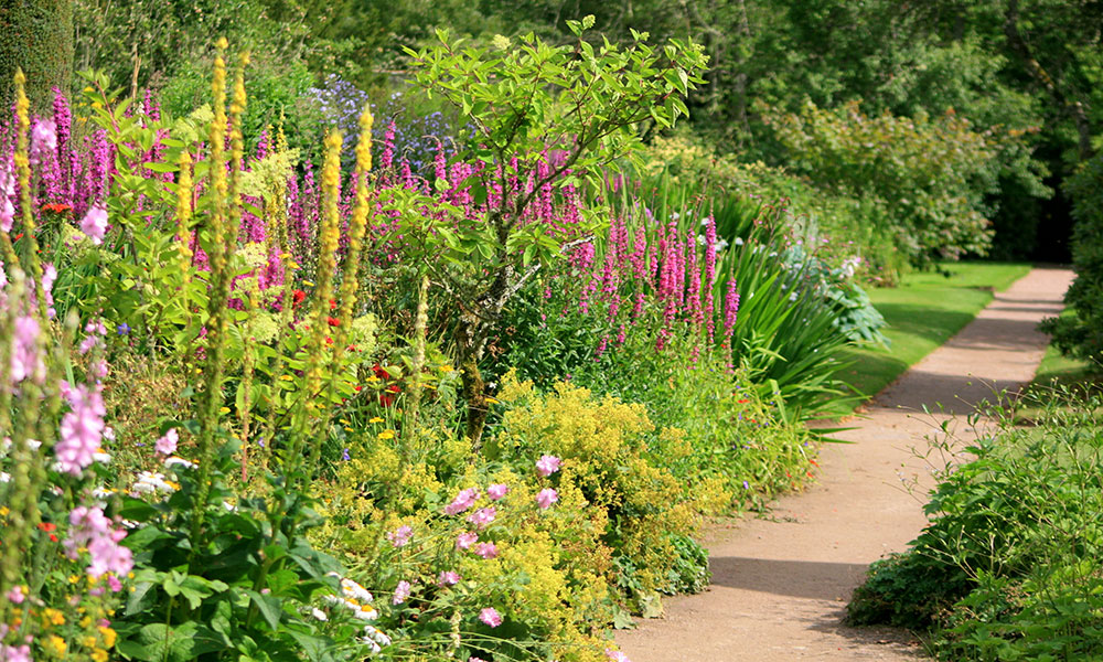 Des plantes hautes peuvent vous aider à structurer le jardin