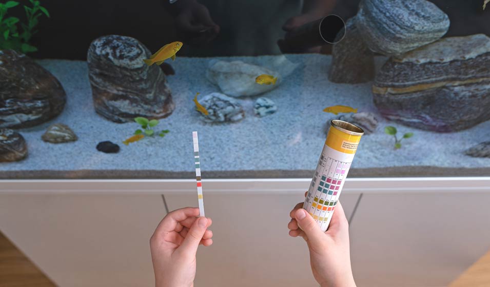 Une batterie de tests