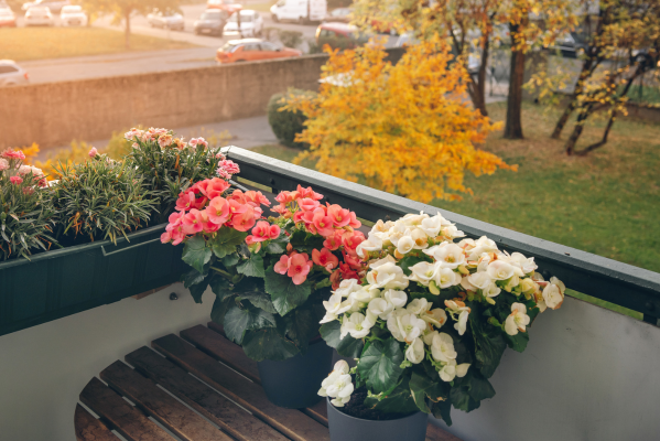 terraza otoño