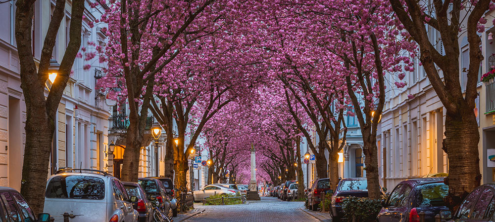 Entre ville et nature 