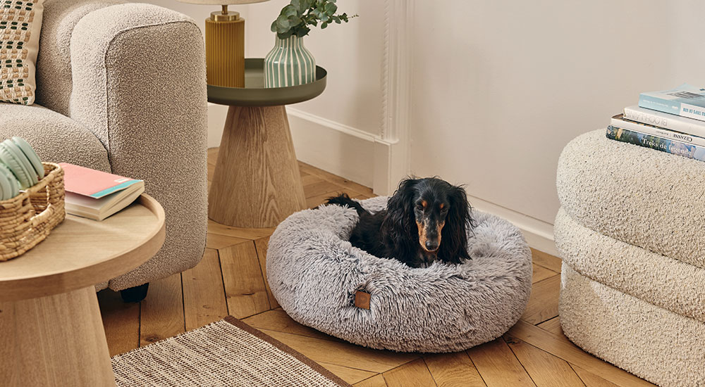 Comment nettoyer un panier pour chien 
