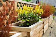 Comment Bien Choisir Son Pot De Fleur En Bois Gamm Vert Comment Bien Choisir Son Pot De Fleur En Bois Gamm Vert