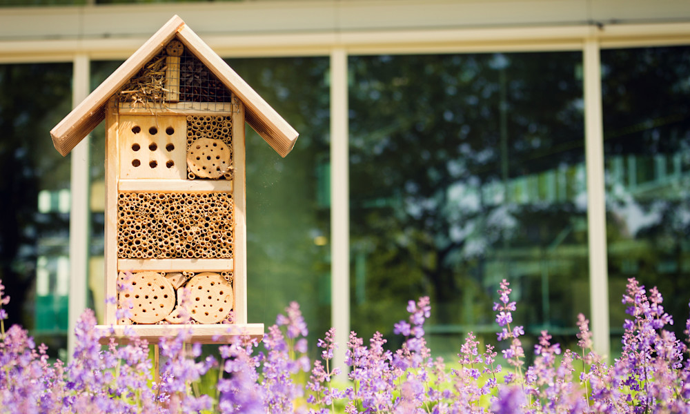 Une maison à insecte, une mangeoire à oiseaux sont des activités ludiques et faciles !