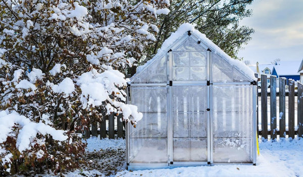 Protéger les plantes en pot du froid, du gel