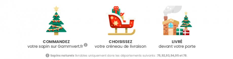 Commandez votre sapin de Noël en ligne sur Gamm vert