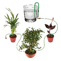 Choisir son système d'arrosage de vacances pour ses plantes d'intérieur -  Gamm vert