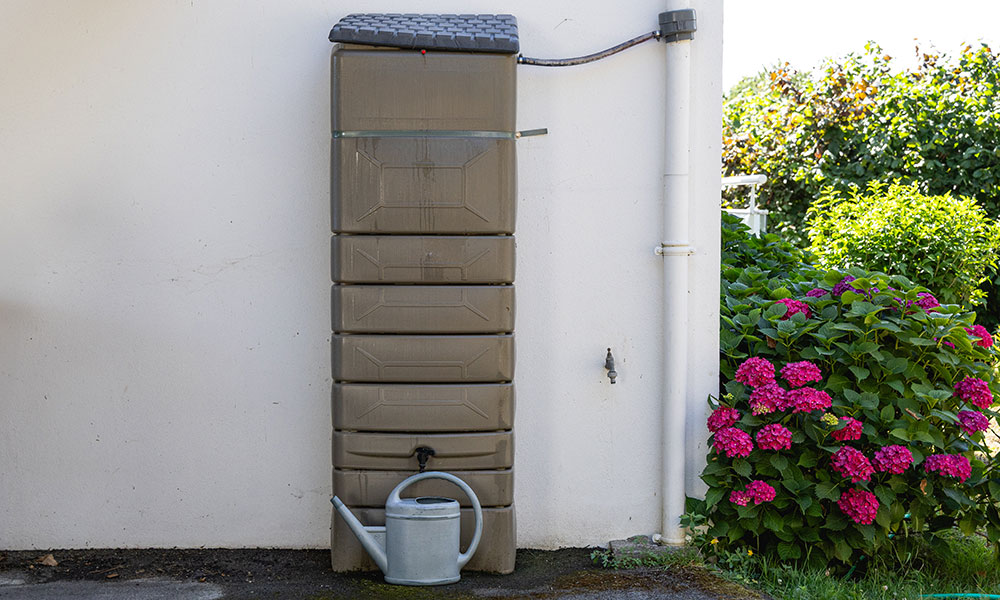 Le récupérateur d'eau de pluie branché sur la gouttière