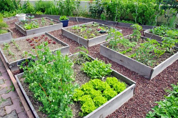 Entretien du cadre végétal - Jardinet - Équipez votre jardin au meilleur  prix