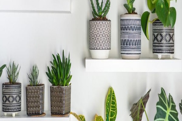 Des pots de fleurs au design très graphique