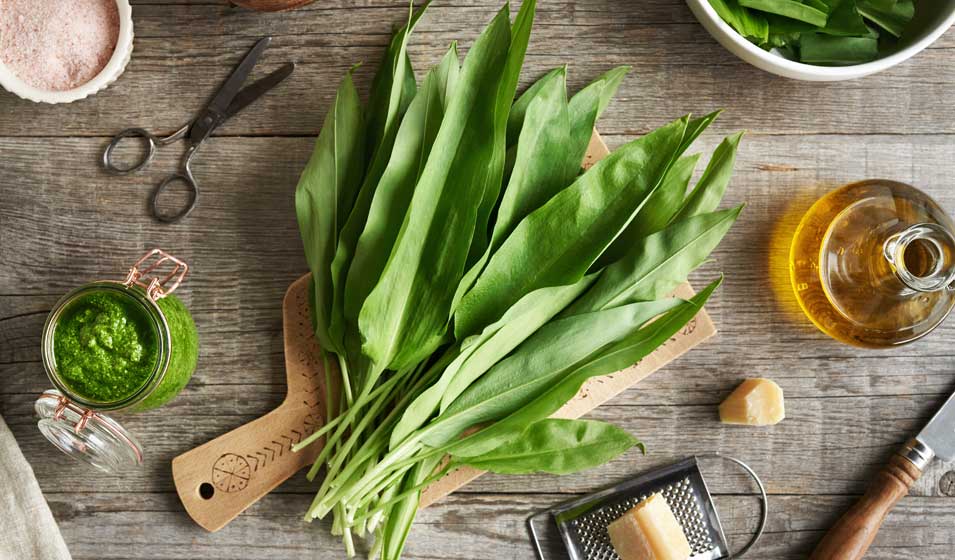 Après la cueillette, la cuisine