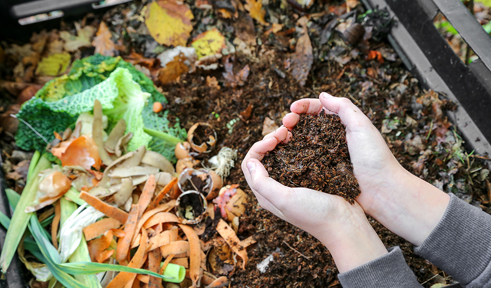 Utiliser le broyeur de végétaux pour alimenter son compost