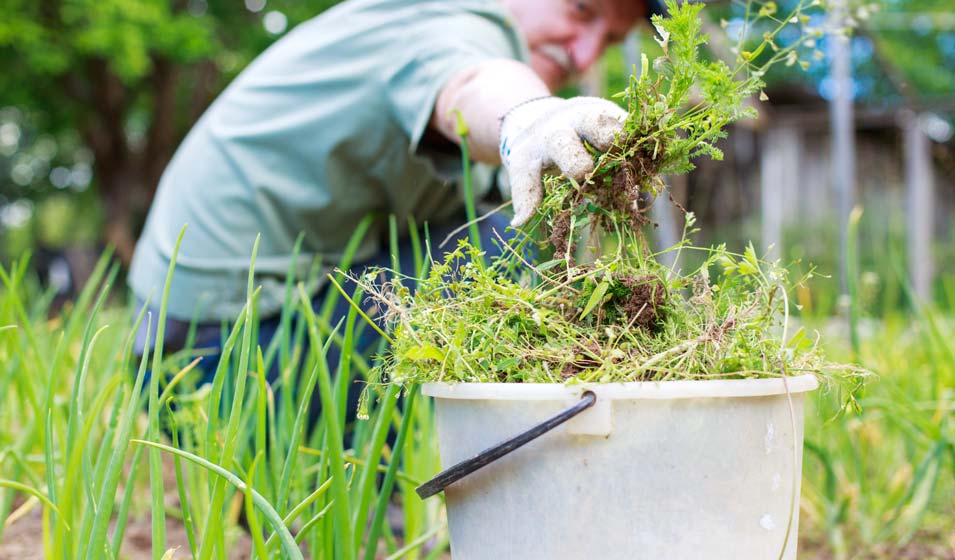 On fait du tri dans son jardin
