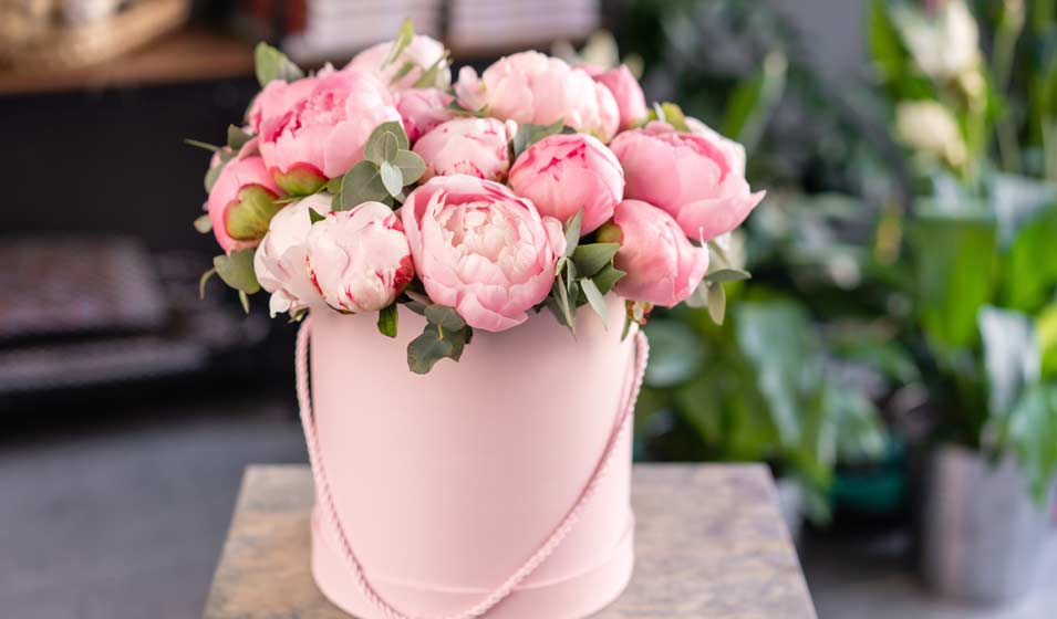 La plus romantique de toutes 
