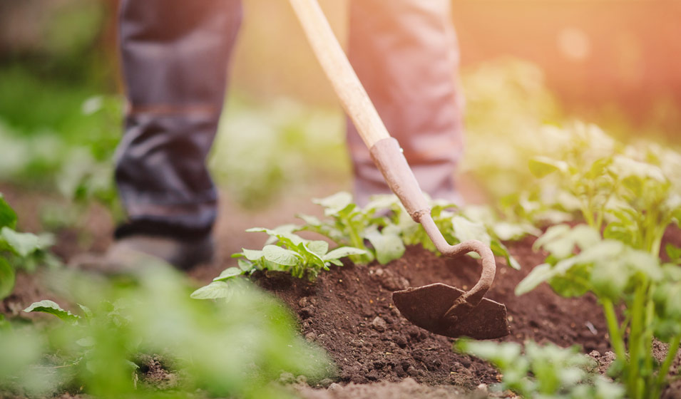 Quels outils de jardinage à main choisir ? - Le blog de Mon Magasin Général