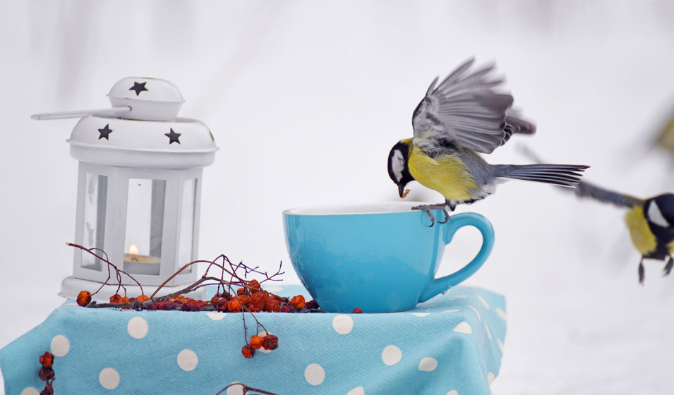 C'est tout à fait leur tasse de thé
