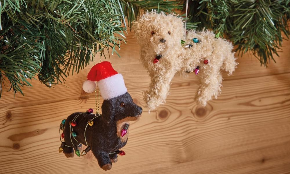 Un Noël complètement miaouf !