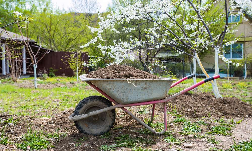 Au printemps, on fertilise les fruitiers 