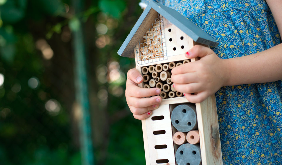 Construire un abri pour les insectes