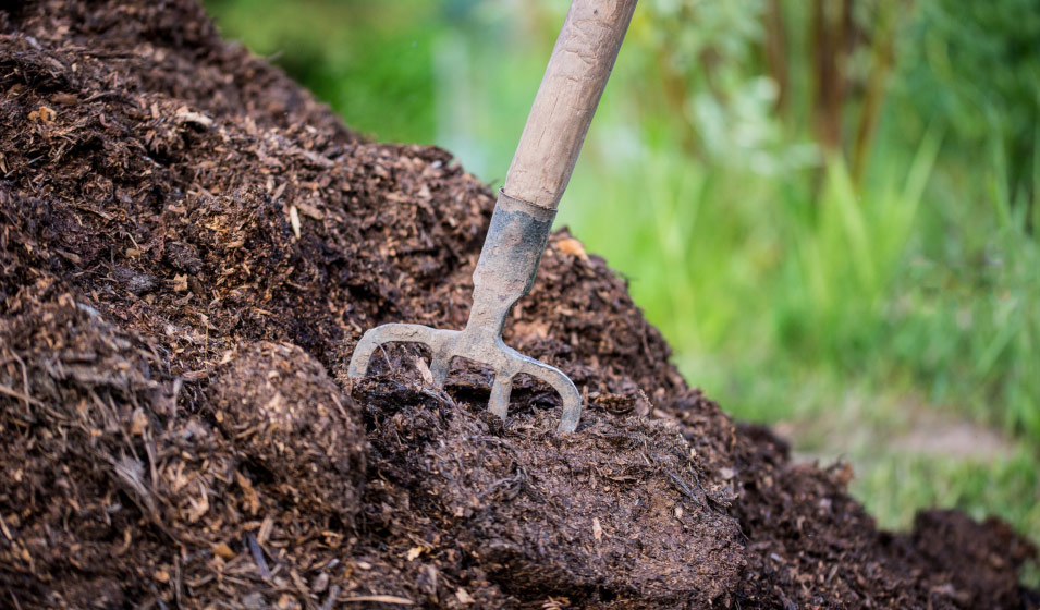 Jardinage pratique : 4 méthodes pour mesurer le pH du sol