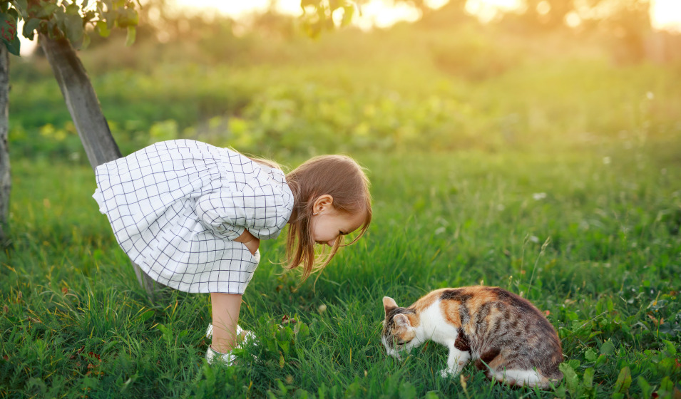 Une fillette se penche vers un chat qui mange dans l'herbe