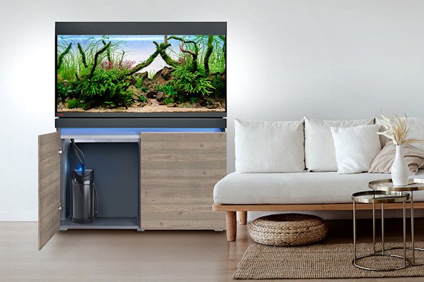 Un meuble d'aquarium permet d'y installer et d'y ranger tout l'équipement nécessaire