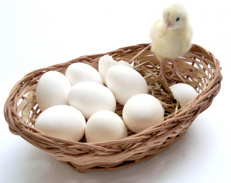 Comment conserver ses œufs de Pâques ? 