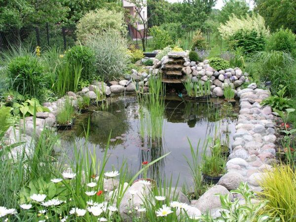 Choisir filtres et pompes pour bassin de jardin - Gamm vert