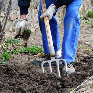 Agissez lors de la préparation du sol pour les plantations